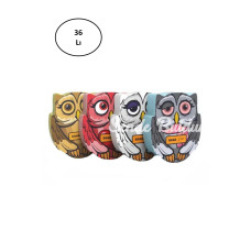 Silka Silgy Owl Serisi Silgi 36lı