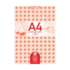 Gülpaş 144 Teknik Resim Defteri A4 30 Yaprak 12 li
