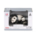 Q9899A27 Panda Ailesi Birliktoys