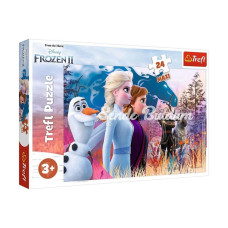 PUZZLE14298 Frozen II 24 Parça Maxi Çocuk Puzzle