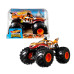 FYJ83 Hot Wheels Monster Trucks 1:24 Arabalar