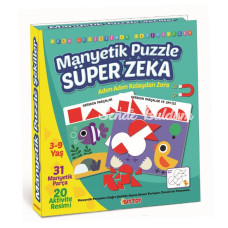 1536 DıyToy Manyetik Puzzle  Super Zeka / 31 Parça Puzzle / 39 yaş