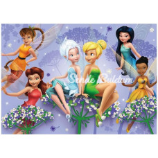 Nessiworld 100 Parça Fairies Puzzle