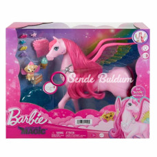 HLC40 Barbie A Touch Of Magic Peggy ve Aksesuarları