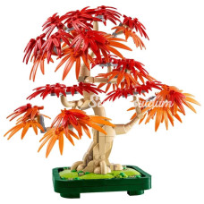  Botanicals Japon Kırmızı Akçaağaç Bonsai Ağacı 10348