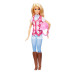 Nessiworld HXJ38 Barbie Binici Bebek  Malibu Barbie Mysteries: The Great Horse Chase