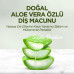 Nessiworld Eyüp Sabri Tuncer Doğal Diş Macunu 90 Gr Aloe Vera Nessiworld Eyüp Sabri Tuncer Doğal Diş Macunu 90 Gr Aloe Vera