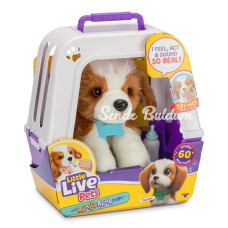 Nessiworld LP800000 Little Live Pets Sevimli Sesli Köpeğim  26548