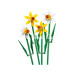 Nessiworld 40747 LEGO® iconic Botanical Collection Nergis 247 parça +8 yaş