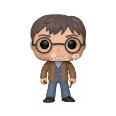 Nessiworld Funko POP Harry Potter Harry Potter w/2 Wands Special Edition