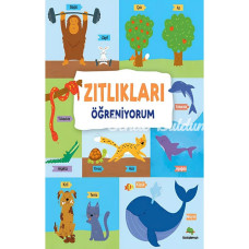 Nessiworld Zıtlıkları Öğreniyorum