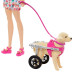 Nessiworld HTK37 Barbie ve Engelli Köpeği Oyun Seti