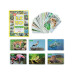 NessiWorld 1352FlashCardsİlk50HayvanDıytoy