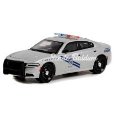 NessiWorld Greenlight 1/64 2019 Dodge Charger