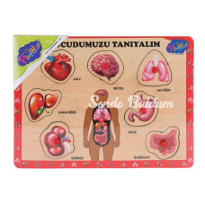 ONY287 288 Ahşap Tutmalı Vücumuzu Tanıyalım Onyıl Oyuncak