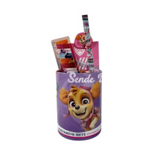 Paw Patrol Metal Kalemlikli 7 Parça Kırtasiye Seti