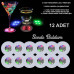 Nessiworld Renkli LED Işıklı Bardak Altlığı  Dekoratif (12 Adet Pilli)