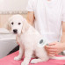 Kedi Köpek Tüy Toplayıcı  Pet Tarak 20 Cm