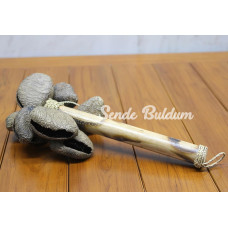 Coconat Sarkaçli Marakas Dıarta:2 Coconat Sarkaçli Marakas Dıarta:2