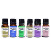 Zen Assorted Fragrance Oil 24lü Set