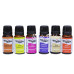 Fresh Assorted Fragrance Oil 24lü Set