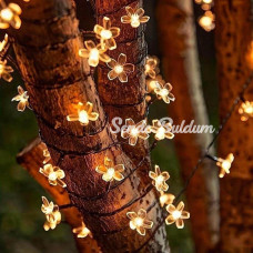 Solar 5m 50 Led Papatya Gün Işığı 8 Fonksiyonlu