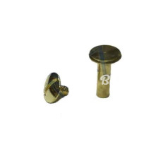 Cilt Menü Katalog Kartela Vidası 13mm  Sarı 100 Adet